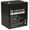 Аккумуляторная батарея Tantos Аккумулятор 12В 4.5 А∙ч (TS 12045)