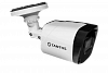Видеокамера HD Tantos TSc-P1080pUVCf